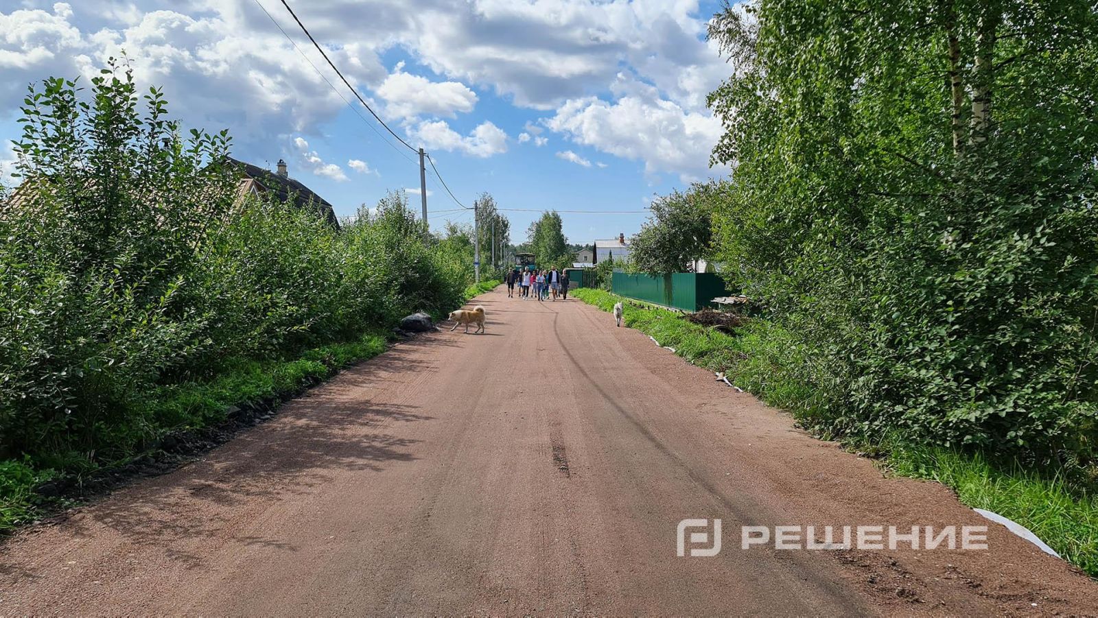 Сроки и гарантии